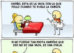 Enlace a Presentándole a la otra