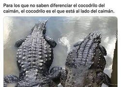 Enlace a Por si había dudas