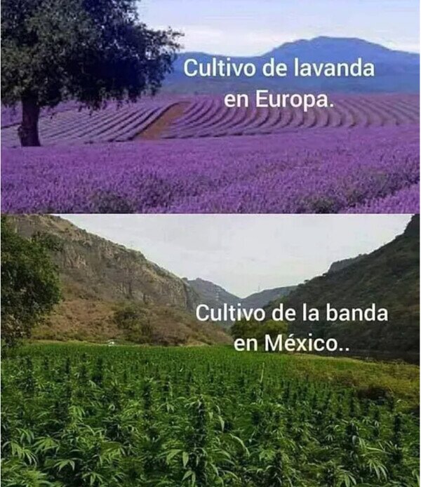 Meme_otros - No es lo mismo