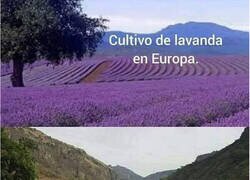 Enlace a No es lo mismo