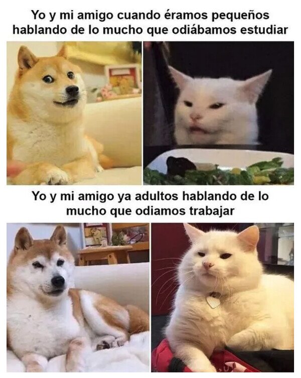 Meme_otros - Pasan los años, perduran las quejas