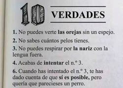 Enlace a 10 verdades antes de seguir con tu día
