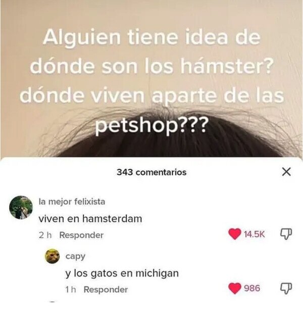 Meme_otros - ¿Dónde viven los hámsters?