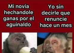 Enlace a Dulces fiestas