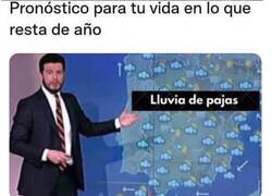 Enlace a Final de año en soledad