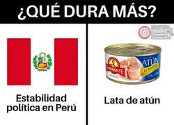 Enlace a Ambos son breves