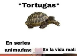 Enlace a Serán lentas, pero se escabuyen