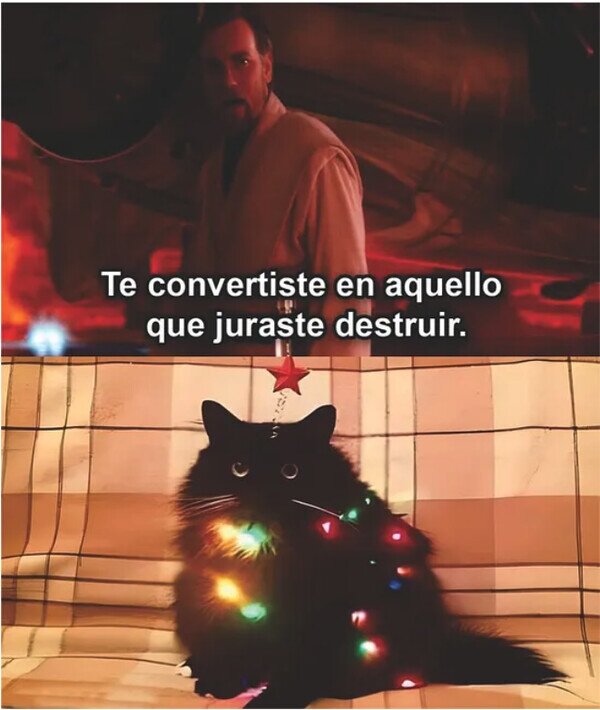 Meme_otros - El gato que se odia a sí mismo