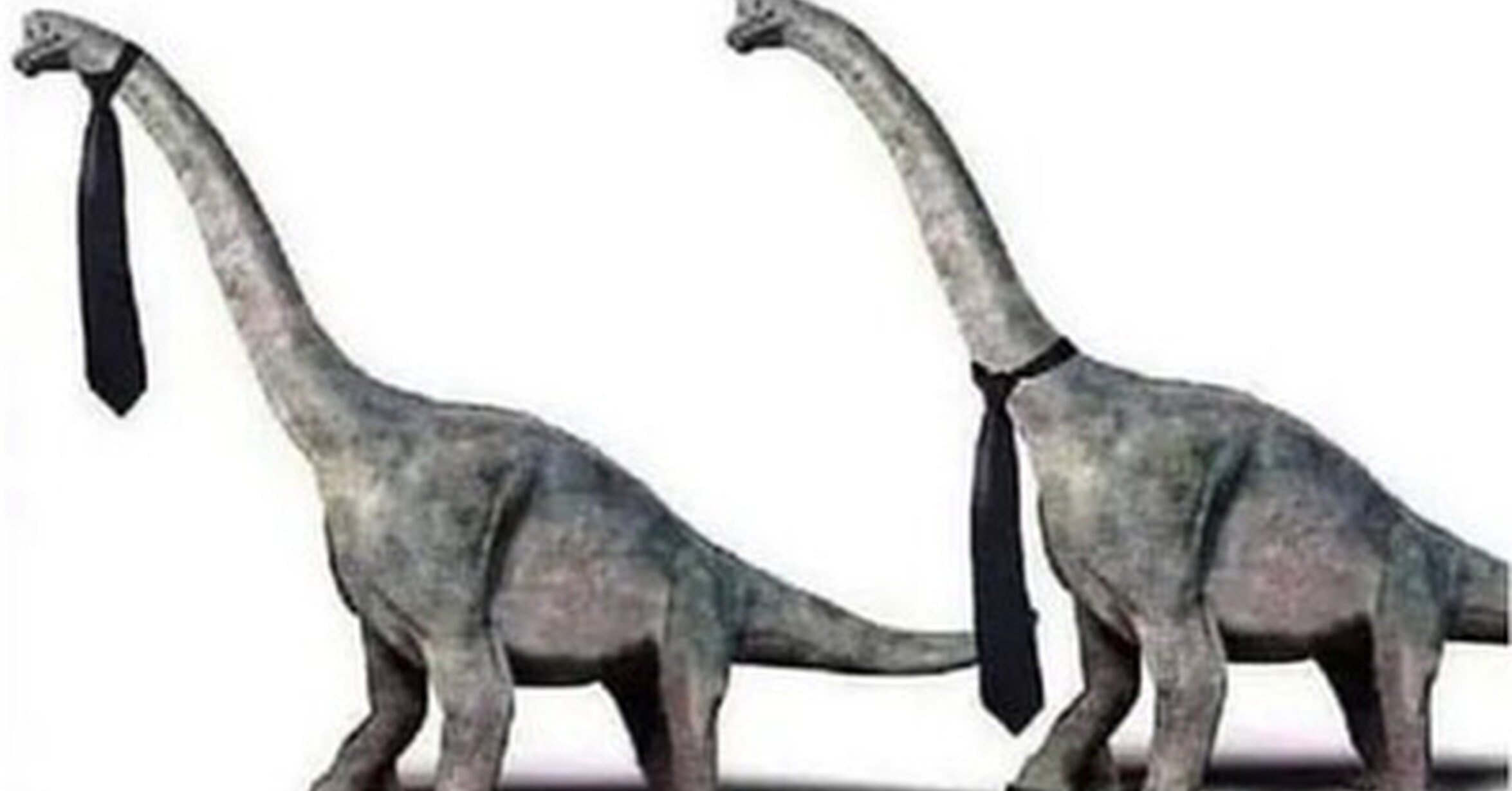 Cuánto cabrón / ¿Cómo llevaría un Diplodocus la corbata?