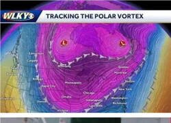 Enlace a Maldito y sensual vortíce polar