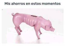 Enlace a De cerdos va la cosa