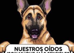 Enlace a Casi prefieren los cohetes