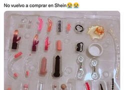 Enlace a Mis Barbies se lo van a pasar en grande