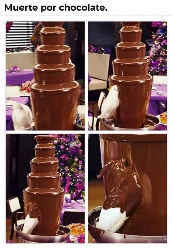 Meme_otros - ¿Que cómo querría morir?