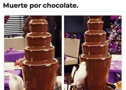 Enlace a ¿Que cómo querría morir?