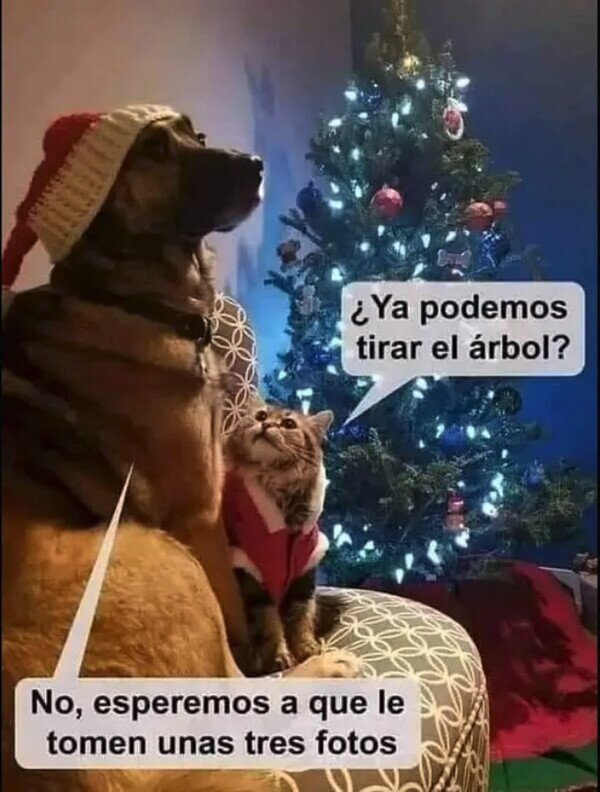 Meme_otros - Todo llegará