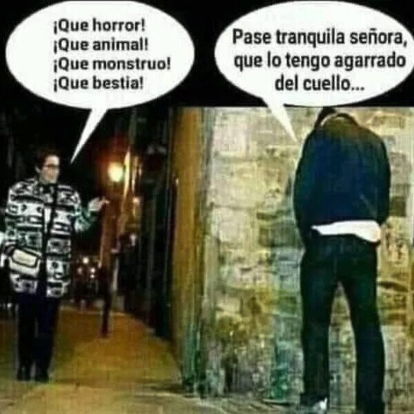 Meme_otros - Señora, lo tengo dominado