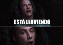 Enlace a A mucha gente le pasa