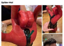 Enlace a Parecía buena idea...