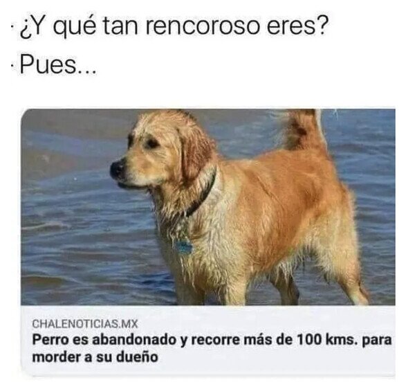 Otros - Le dio su merecido