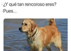 Enlace a Le dio su merecido