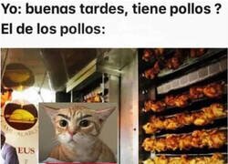 Enlace a ¿Pero no lo ve?