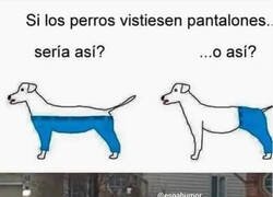 Enlace a Misterio resuelto