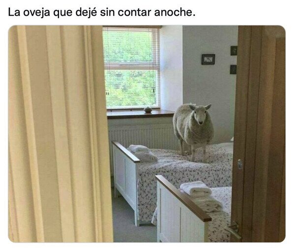 Otros - Esa ya no me dió para contarla