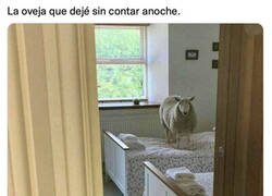 Enlace a Esa ya no me dió para contarla