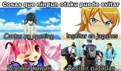 Enlace a Nunca han sido el colectivo más respetado