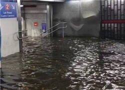Enlace a El Metro de Madrid esta semana