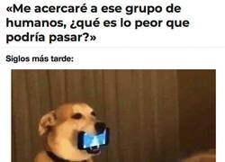 Enlace a ¿Cómo los humanos humillamos tanto a nuestros perros?