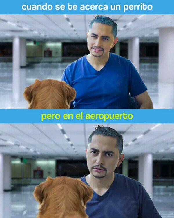 Meme_otros - Nooo... Aquí no...