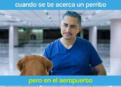 Enlace a Nooo... Aquí no...