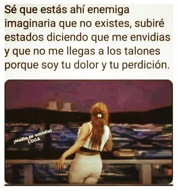 Meme_otros - Hay a quién le gusta invertarse enemigos