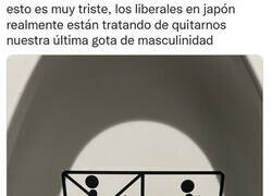 Enlace a Quieren acabar con la masculinidad