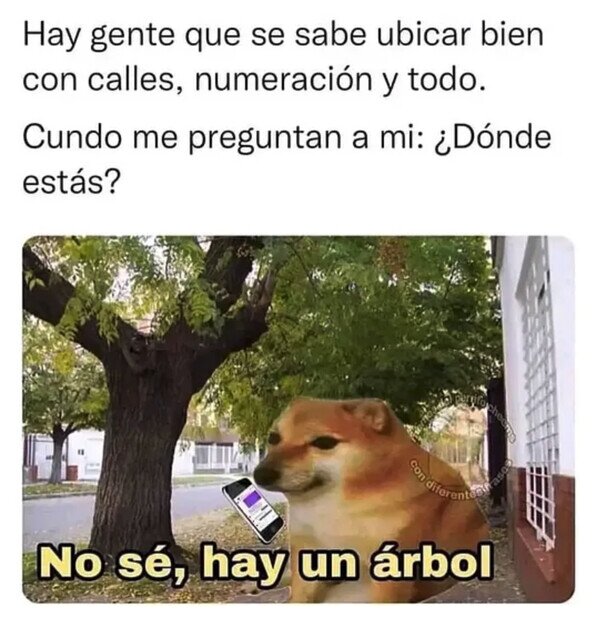 Otros - Toda la información que puedo dar