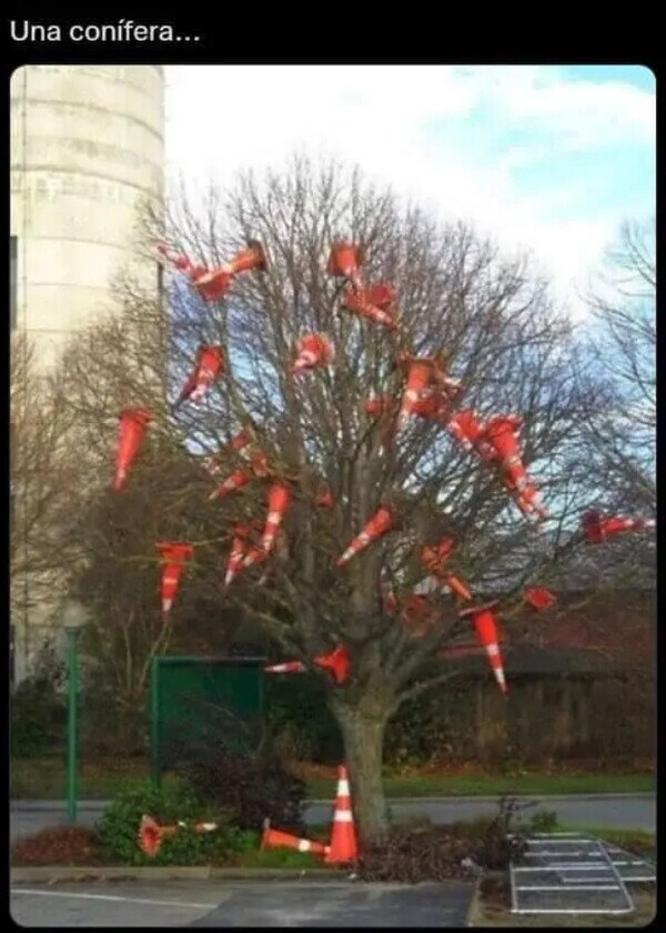 Meme_otros - El árbol que da conos