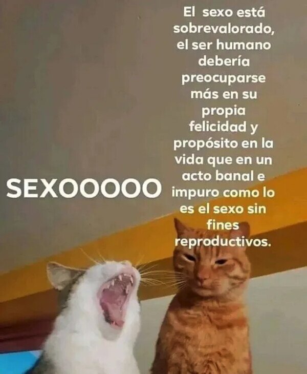 Meme_otros - Lo que de verdad importa