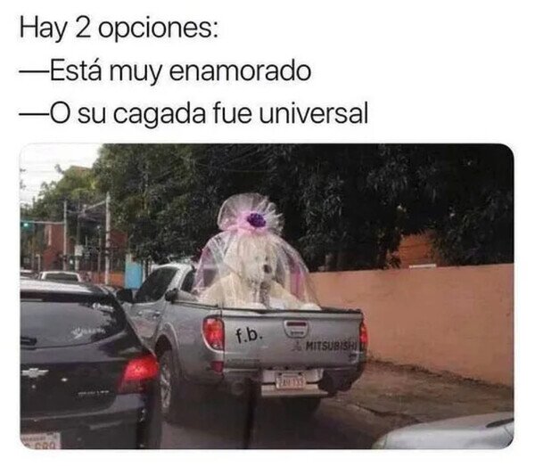 Otros - Detrás de ese oso hay un gran motivo