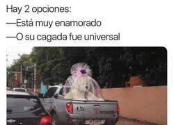 Enlace a Detrás de ese oso hay un gran motivo