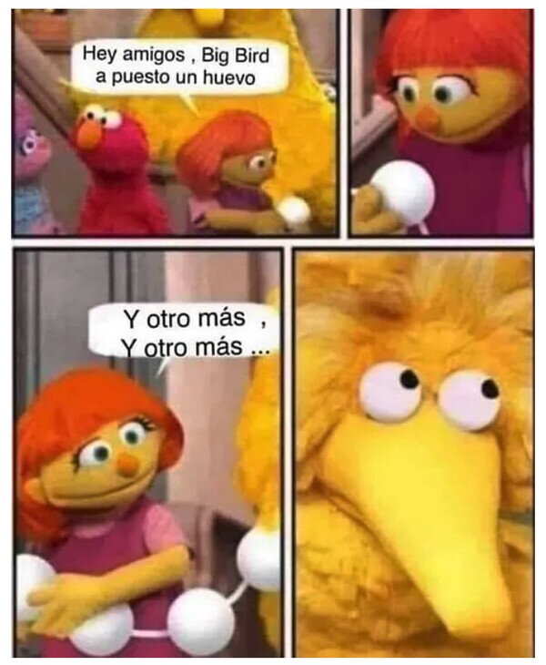 Meme_otros - Pero bueno, Big Bird...