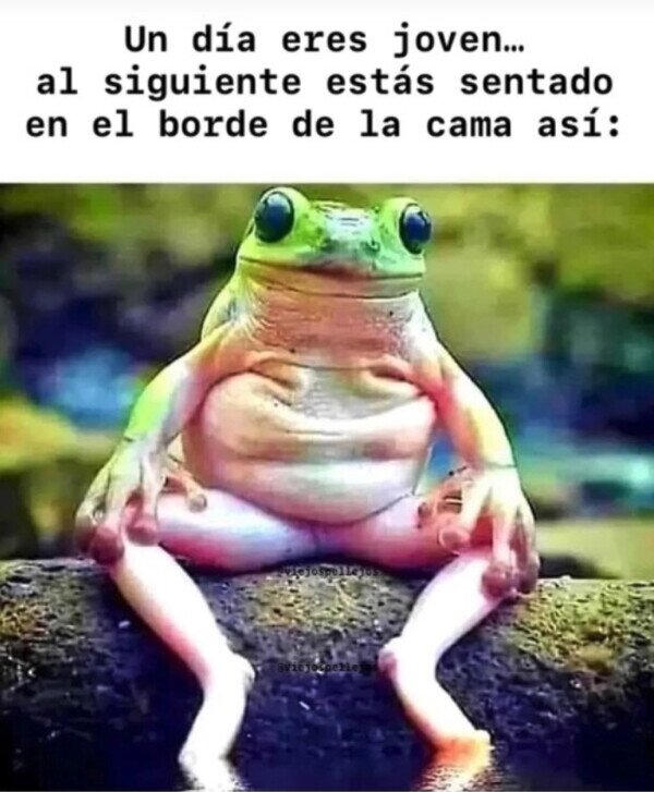 Meme_otros - ¿Qué me ha pasado?