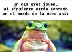 Enlace a ¿Qué me ha pasado?