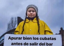 Enlace a Consejo ecológico