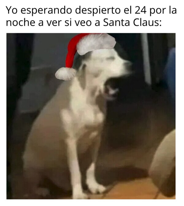 Meme_otros - Trasnochando para verle