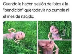 Enlace a Menudo bicho