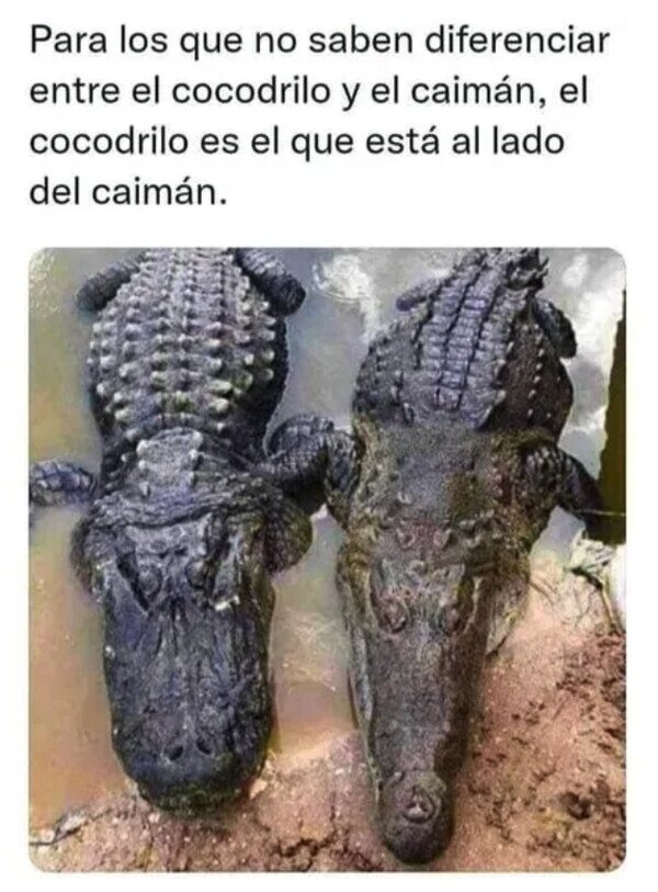 Meme_otros - No me den las gracias