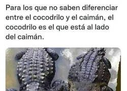 Enlace a No me den las gracias