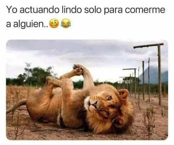 Meme_otros - Me hago el inocente